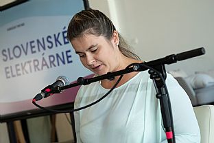 autor: Radovan Stoklasa