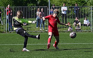  autor: Peter Kapusta