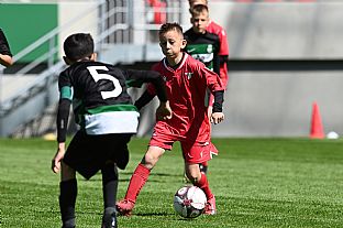  autor: Peter Kapusta