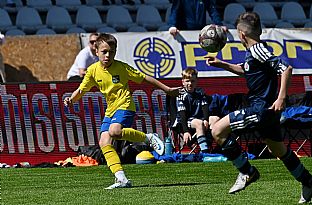  autor: Peter Kapusta