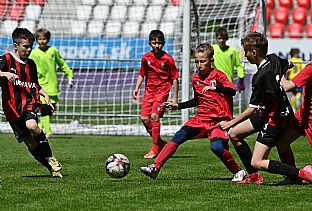  autor: Peter Kapusta