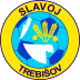 FK Slavoj Trebiov